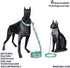 Pet Supplies, (Cactus and Succulents) Cat Collar, Dog Collar, Small Dog Collar, Medium Dog Collar, Large Dog Collar (Blue Cactus Leash, M)...