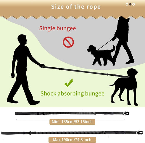 Heavy Duty Dog Leash, 4-6 Feet 2 Comfortable Padded Control Handles, Traction Shock Absorbing Dog Leash for Training, Anti-Pull Reflective Dog Lea...