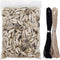 8 Ounces (160~220pieces) Natural Spiral Cowrie Shell Beads Cut Sea Shell Connectors Beach Seashells Cowrie Shell Charms for Jewelry Making (Gray 0...