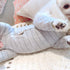 Recovery Suit for Dog After Surgery Cut Pet Recovery Shirt Dog Abdominal Wounds Bandages,Wound Protective Full Coverage Dog's Bodysuit for surgery...