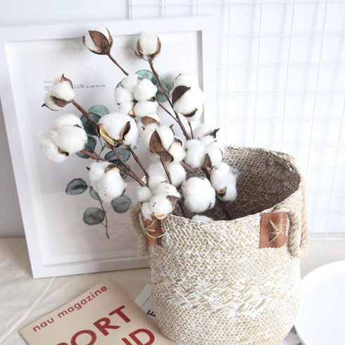 DomeStar Cotton Stems, Natural Dried Flowers 8 Packs Total 15 Bolls Cotton Sprigs Blooms Floral Stems for Vase Fillers...