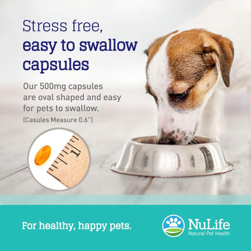 100% Pure Omega 3 Fish Oil for Dogs & Cats - Pet Fish Oil Supplement with DHA & EPA Fatty Acids for Healthy Skin & Shiny Coat - Improves Shedding ...