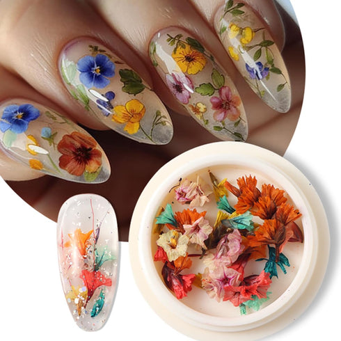 2 Boxes Dried Flower Nail Art Stickers Set Colorful Floral Nail Decals Spring Dry Flower Nail Stickers 3D Real Dried Flowers Nail Designs Stickers...