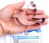 Twitter Bird Cookie Cutter- Stainless Steel...