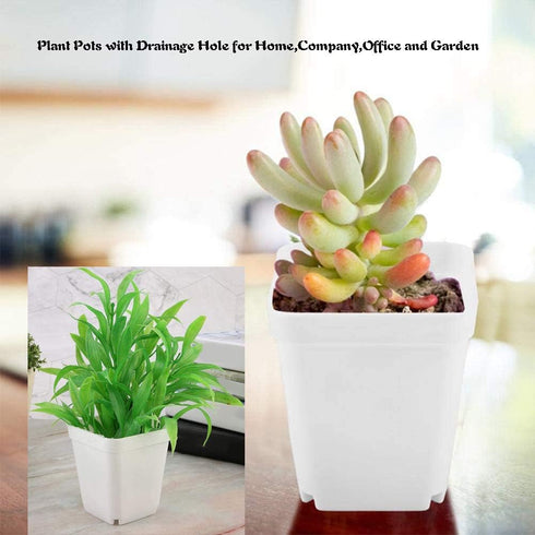OJYUDD 3inch White Square Plastic Pots with Saucer, Drainage Hole, 24 Pcs, for Flower/Plant, Home,Company,Office and Garden(White)...