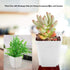 OJYUDD 3inch White Square Plastic Pots with Saucer, Drainage Hole, 24 Pcs, for Flower/Plant, Home,Company,Office and Garden(White)...