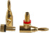 Cmple - Open Screw Type Gold Plated Speaker Banana Plugs for Amplifiers, Speaker Wire, Home Theater, Wall Plates 1 Pair...