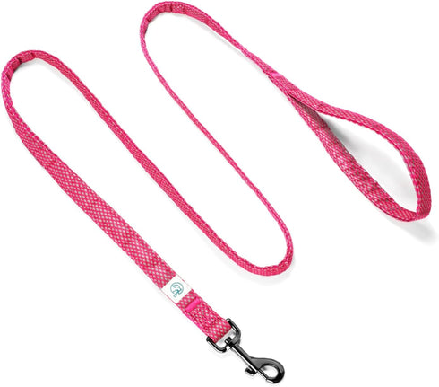Embark Illuminate Reflective Dog Leash for Night Walking - 5 Ft Long and 3/4 Inch Width Dog Leash for Large Dogs, Made with Reflective Leash Mater...