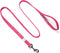 Embark Illuminate Reflective Dog Leash for Night Walking - 5 Ft Long and 3/4 Inch Width Dog Leash for Large Dogs, Made with Reflective Leash Mater...