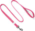 Embark Illuminate Reflective Dog Leash for Night Walking - 5 Ft Long and 3/4 Inch Width Dog Leash for Large Dogs, Made with Reflective Leash Mater...