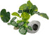 Smoothedo-Pets Aquarium Plants Fish Tank Decorations 6inch Plastic Artificial Plant Goldfish Waterscape Betta Fish Hides/Rest (Leafs/Stone Cave)...
