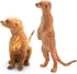 Meerkat Wild Animal Toy Figures Set, Hand-Painted Jungle Animals Figurines Collectible Toys Gifts, Party Favors, School Projects Cake Toppers for ...