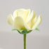 Flower Pro Calyx Trio Silicone Mold for Cake Decorating & Clay Crafts by Katy Sue Molds. Make Rose Calyx & Ovaries for Use with Fondant, Sugar Pas...