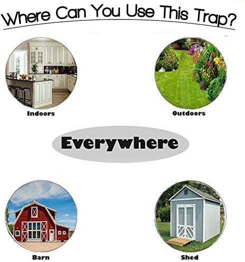 RinneTraps - 2 Pack Walk The Plank Mouse Trap | Bucket Mouse Trap | Mini Flip N Slide | 2 Free Ramps Included- Multi Catch, Auto Resetting | Human...