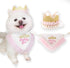 Girl Dog Birthday Hat Bandana kit, Princess Dog Birthday Decorations Girls with Crown for Cats Dogs 1st Birthday Gift Pet Birthday Party Dog Birth...