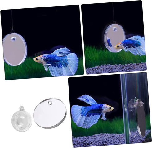 Fish Tank Accessories Beta Fish Tank 1 Set Betta Training Mirror Double Sided Mirror Acrylic Float 6cm Transparent Beta Fish Bowl Fish Tank Decor...