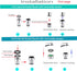 Sink Faucet Quick Connector,Faucet Adapter for Sink Connection Shower Hose/Garden Hose/Portable Washing Machine,Pet Bathing?Chrome....