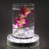 LARDUX Led Light Base - 6 Inch Round Display Pedestal Light Stand Plate Flat for 3D Crystal Cube Glass Art Acrylic Statues - USB Charge or Battery...
