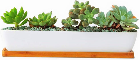 10.8inch White Ceramic Long Rectangular Succulent Planter Pot,Cactus Flower Planters Pots Container for Office,Window,Kitchen and Balcony...
