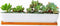 10.8inch White Ceramic Long Rectangular Succulent Planter Pot,Cactus Flower Planters Pots Container for Office,Window,Kitchen and Balcony...