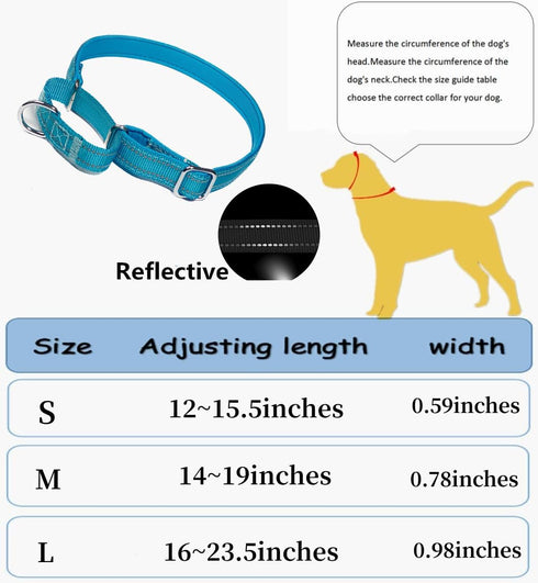 Martingale Dog Collars, Reflective Safety Puppy Collar, Adjustable Soft Nylon Training Dog Collar,Metal Accessories Heavy Duty No Pull Pet Collars...