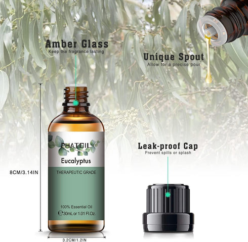 Eucalyptus Essential Oil 30ML, Pure Eucalyptus Essential Oils for Diffuser, Humidifier, Aromatherapy, Perfect for DIY Soap, Candle, Bath Bombs Mak...