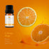 LOXIM Discovery Collection Essential Oil Set of 3 (Santal Sparkle, Rose Sugar, Citrus Pop) Fragrance Oils for Aromatherapy Diffuser, 100% Pure Nat...