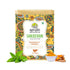 Iron Kettle Sanjeevani Collection | Peppermint & Turmeric | Herbal Green Tea blended with Peppermint, Turmeric, Amla & Nettle | 25 Tea bags...