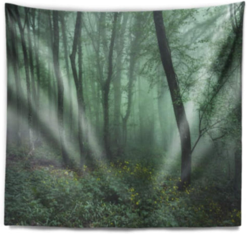 Designart 'Trail Through Dark Foggy Forest' Landscape Photography Tapestry Blanket Décor Wall Art for Home and Office Medium: 39 in. x 32 in, Yell...