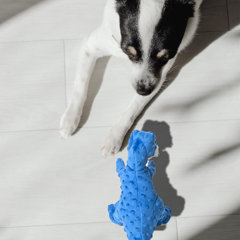Dog Toys Dinosaur Dog Toy Blue Stuffed Animals Chew Toy Plush Squeaky Dog Birthday Toys for Small Large Big Dogs...