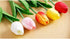 PU Fake Tulips Real Touch Artificial Flowers 10Pcs Flower Arrangement Bouquet for Home Office Wedding Decoration (White)...