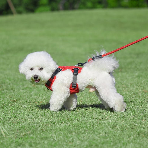 Dog Harness, Reflective and Adjustable Soft Padded Dog Vest for Training and Everyday for Puppy Small Medium Large Dogs (Red, M)...