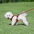Dog Harness, Reflective and Adjustable Soft Padded Dog Vest for Training and Everyday for Puppy Small Medium Large Dogs (Red, M)...