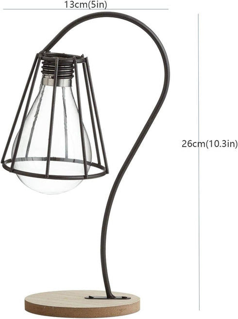 TJ Global Lamp with Glass Light Bulb Vase Planter Holder, Plant Terrarium, Propagation Station, Metal Stand for Hydroponics Plants Home Garden Wed...