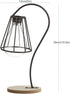 TJ Global Lamp with Glass Light Bulb Vase Planter Holder, Plant Terrarium, Propagation Station, Metal Stand for Hydroponics Plants Home Garden Wed...