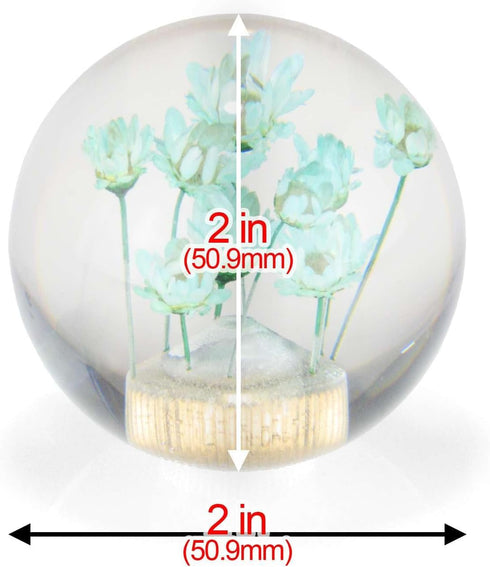 EZAUTOWRAP Flower Green Auto Car Shift Knob Round Ball Weighted Manual Gear Stick Shifter Adapter JDM Universal...