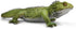 Safari Ltd. Tuatara Figurine - Detailed 7" Plastic Model Figure - Fun Educational Toy for Boys, Girls & Kids Ages 3+...