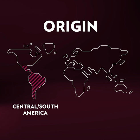 Lavazza Expert Espresso Classico Capsules, Medium Roast, 100% Arabica, Compatible with Lavazza Classy Machines (36 Capsules)...