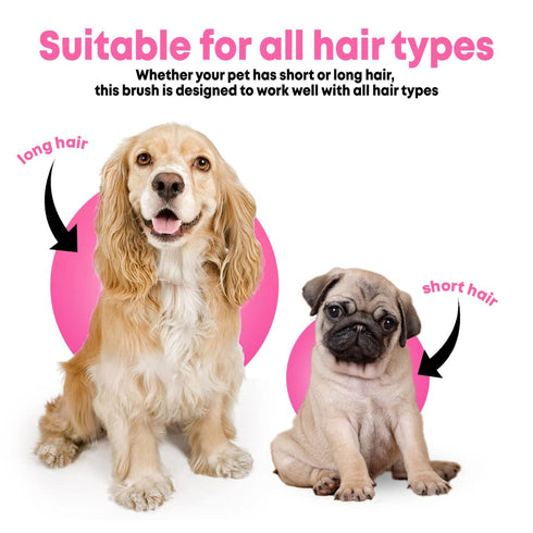 Pet Bath Massage Brush - Premium Cat and Dog Bath Brush Scrubber with Removable Cover - Soft Bristle Silicone Dog Brush for Short & Long Haired Pe...