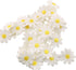 Tegg Lace Ribbon 5 Yards 25mm Daisy Sun Flower Trims DIY Ribbon Lace for Applique Headband Sewing DIY Craft...