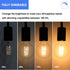 E ENERGETIC LIGHTING Dimmable LED Edison Light Bulb, G25 Globe Antique Flexible Spiral LED Filament Light, 8W Equivalent 60W, 2200K Warm Light, 50...