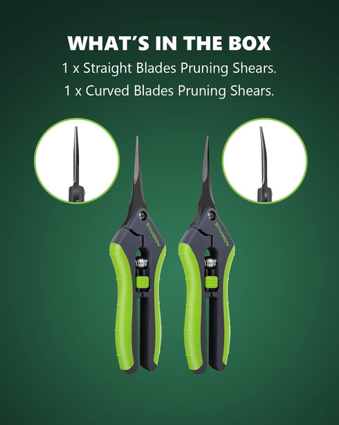 2pcs 6.5" Pruning Shears for Gardening, Ultra Sharp Garden Scissors for Precise Cuts, Stainless Steel Bonsai Clippers with Spring Loaded, 6.5 Inch...