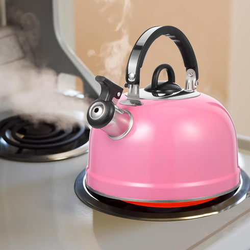 MAGICLULU Buzzing Kettle Heating Pot Whistling Teapot Whistling Water Kettle Teapot for Stovetop Mini Tea Kettle Tea Kettle Top Chinese Teapot Sou...