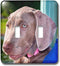 3dRose lsp_206583_2 Weimaraner Puppy Portrait Double Toggle Switch...