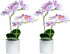 XONOR Artificial Orchid Flowers, 2 Pieces Potted Fake Orchids with Plastic Vase for Table Centerpiece Home Decor Office Wedding Party Decoration...