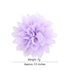 30pcs Baby Girls Alligator Hair Clips Chiffon Flower Hair Barrettes Accessories for Kids Toddler Teens...