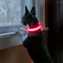 Light Up Dog Collars Rechargeable, Reflective LED Glow Dark Dog Collar for Small Medium Large Dogs, Adjustable Pet Dog Lights for Safe Night Walk-...