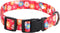 Rhea Rose 3/4 Inch Replacement Collar Strap Shock Collar with 2 Holes, Compatible with Nearly All Brands and Models of Underground Electric Dog Fe...