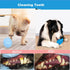 LHYILSWQ 10 Pack Puppy Dog Chew Toys Durable Rope Toys Bean Bone for Small Dog Teething Interactive Training Toys...