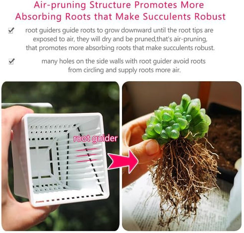 Breathable Succulent Pots with Air-pruning,Succulent Planters Keep Home Tidy & Clean,Plastic 3 Inch Cactus Pots,Set of 1 Windowsill Planter...